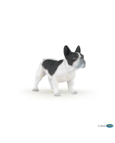 FRENCH BLACK AND WHITE BULLDOG