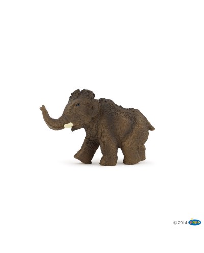 YOUNG MAMMOTH