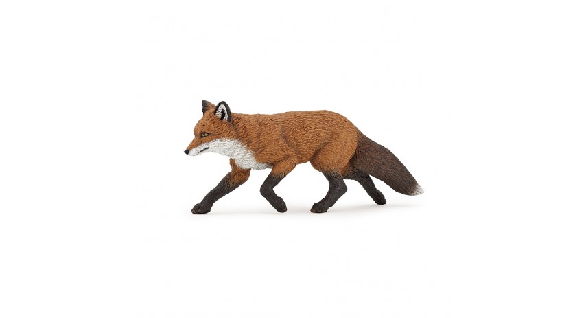 FOX