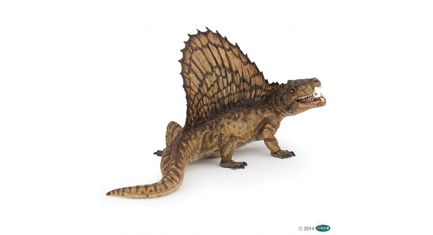 DIMETRODON