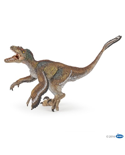 FEATHERED VELOCIRAPTOR