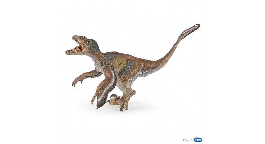 FEATHERED VELOCIRAPTOR