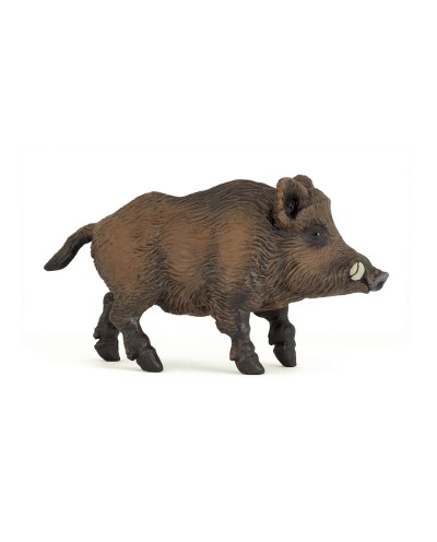 WILD BOAR