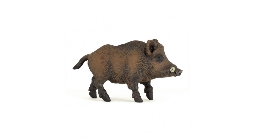 WILD BOAR