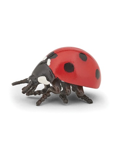 LADYBIRD