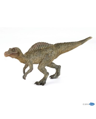 YOUNG SPINOSAURUS