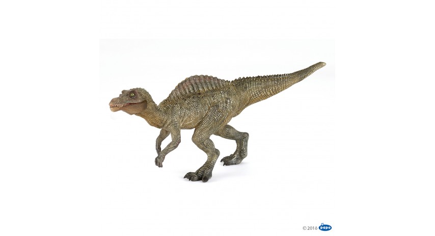 YOUNG SPINOSAURUS