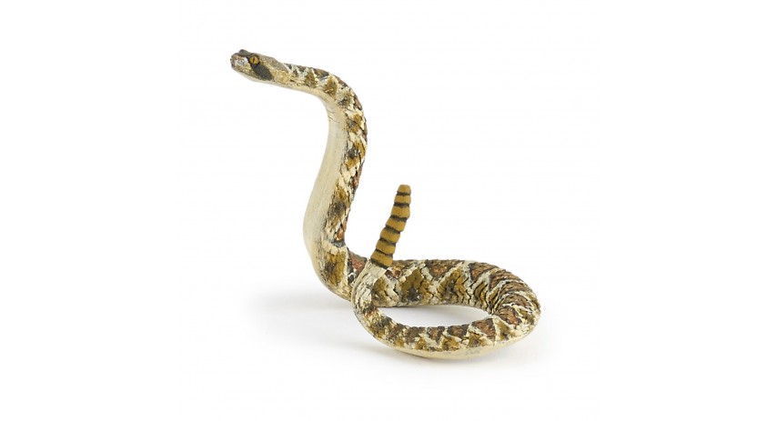 RATTLESNAKE