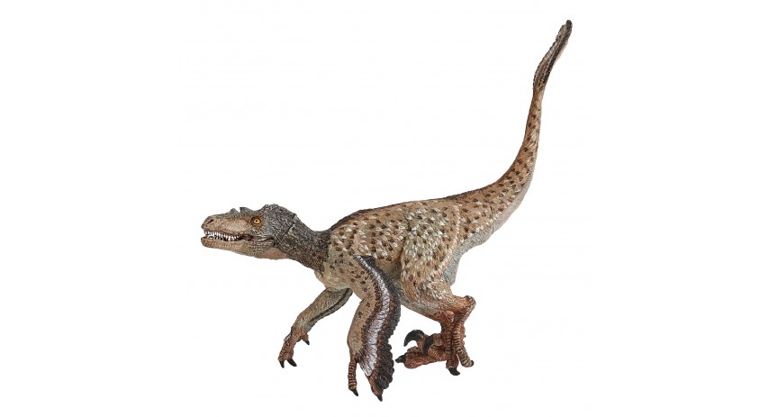 FEATHERED VELOCIRAPTOR