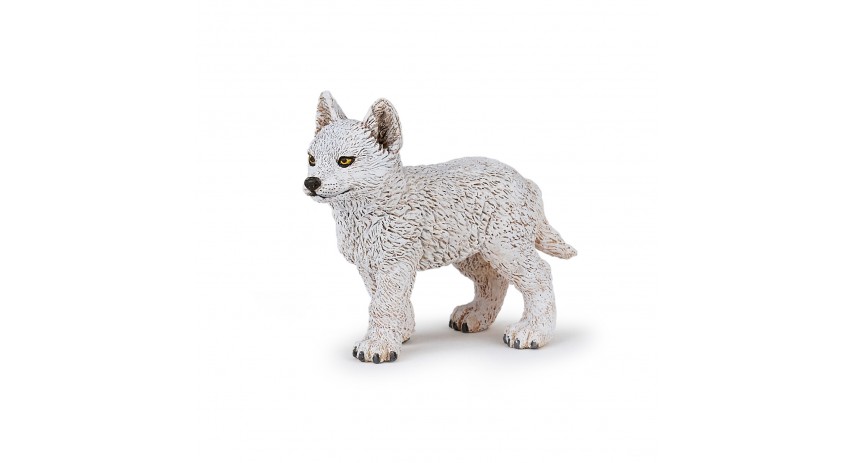 YOUNG POLAR WOLF