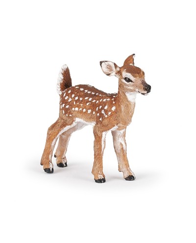 FAWN