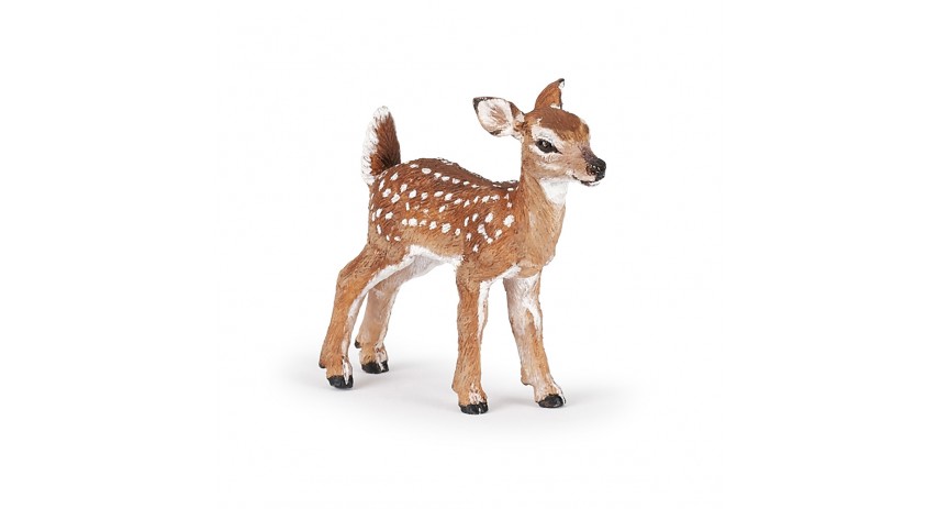 FAWN