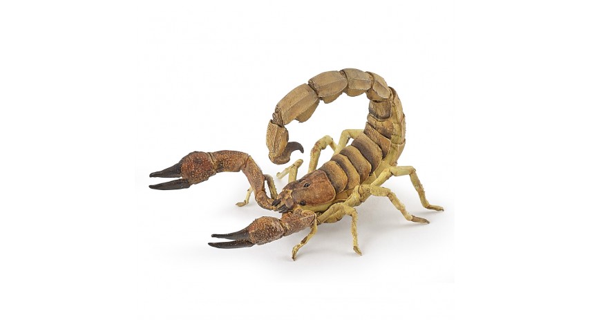 SCORPION