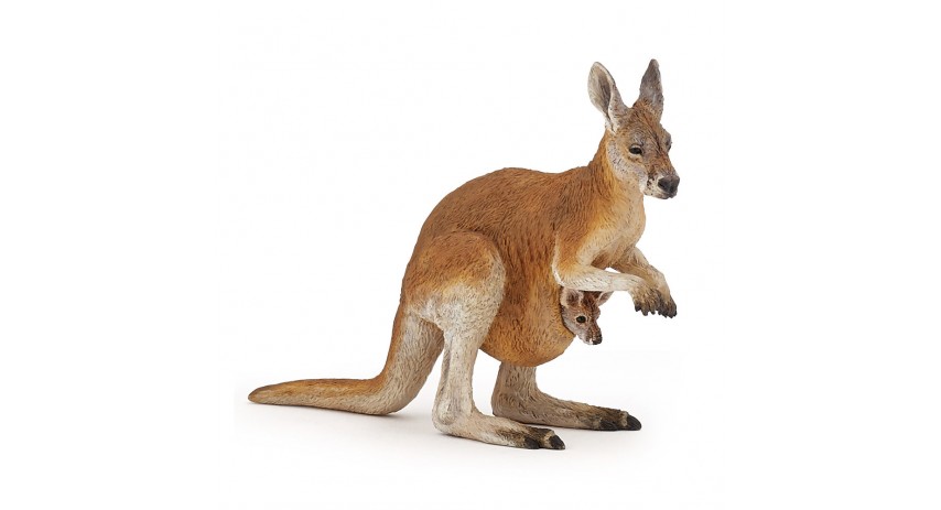 KANGAROO WITH JOEY