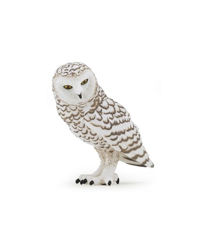 SNOWY OWL