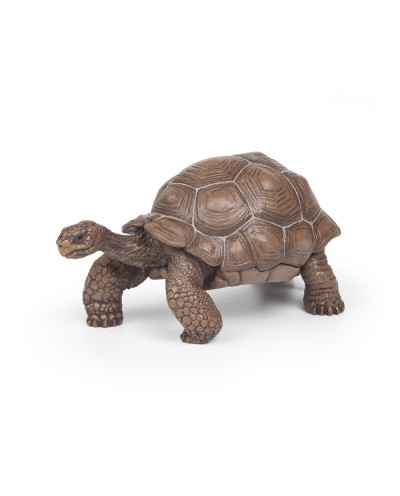GALAPAGOS TORTOISE