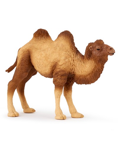 BACTRIAN CAMEL