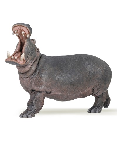 HIPPOPOTAMUS