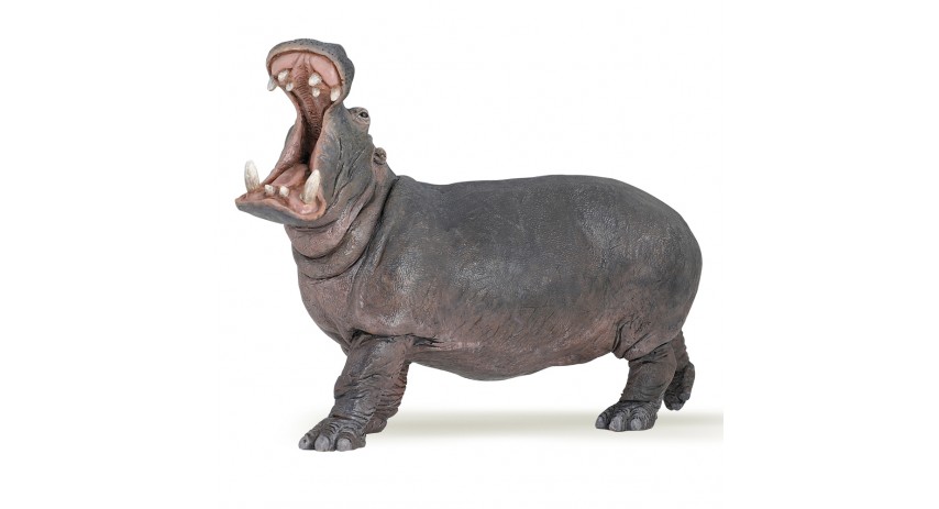 HIPPOPOTAMUS