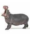 HIPPOPOTAMUS