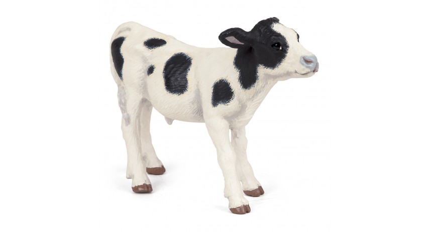 BLACK AND WHITE CALF