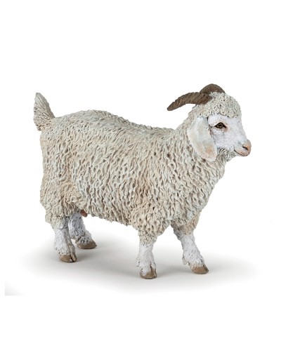 ANGORA GOAT