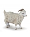 ANGORA GOAT