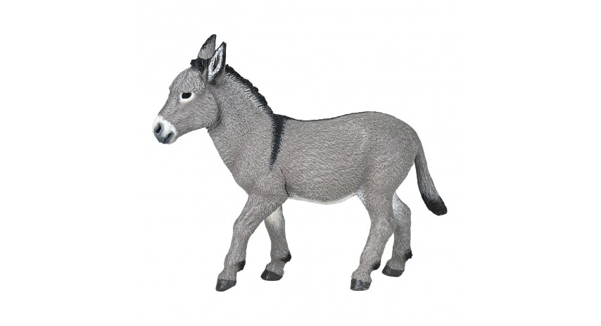 PROVENCE DONKEY