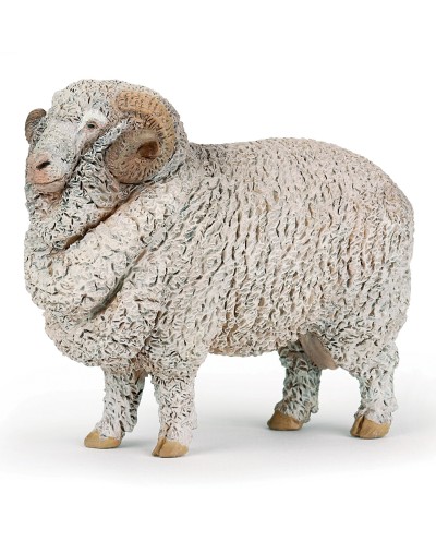 MERINOS SHEEP