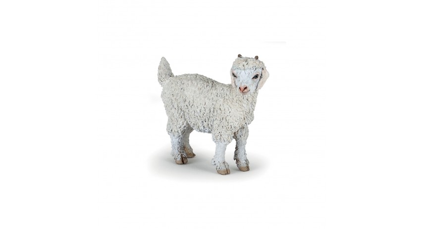 YOUNG ANGORA GOAT
