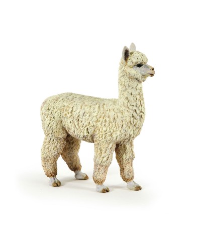 ALPACA
