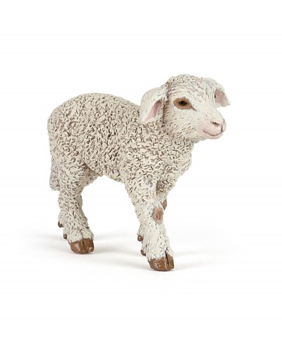 MERINOS LAMB