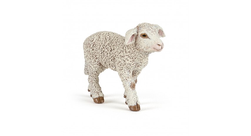 MERINOS LAMB